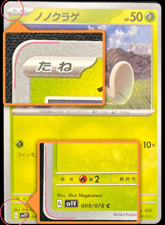 白かけ（中）40点