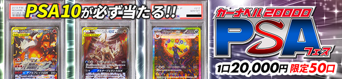 カーナベル20000 PSAフェス