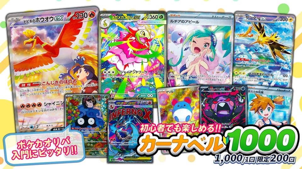 初心者でも楽しめる!! カーナベル1000 1,000円/1口 限定200口
