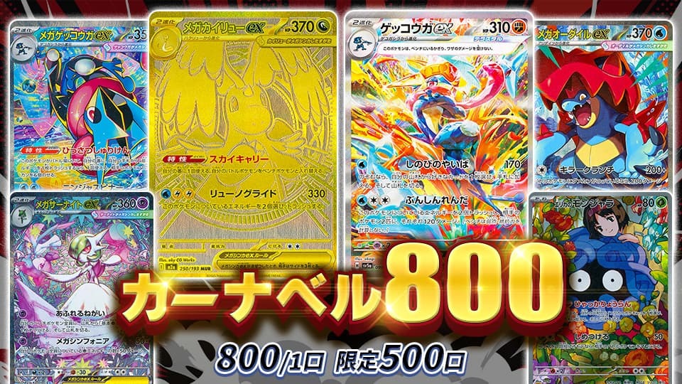カーナベル800 800円/1口 限定500口