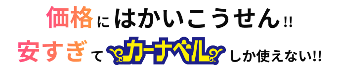 価格にはかいこうせん！安すぎてカーナベルしか使えない